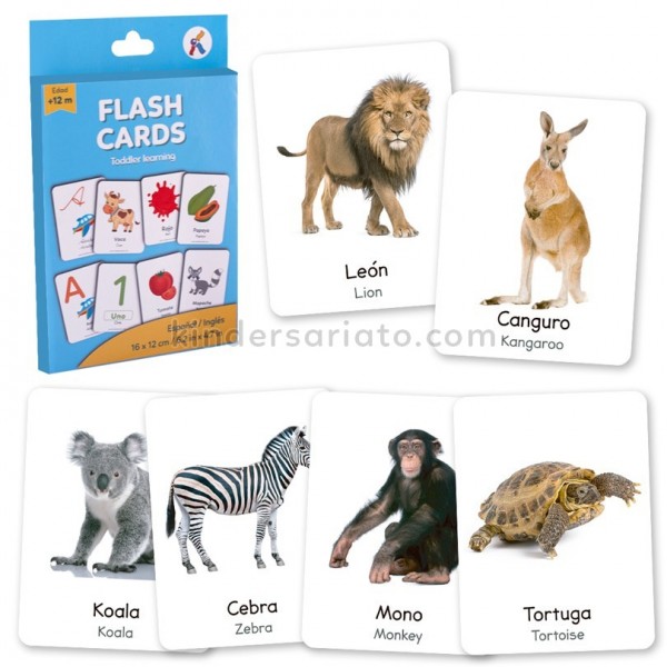 Centro De Educación Infantil Bilingüe Koala